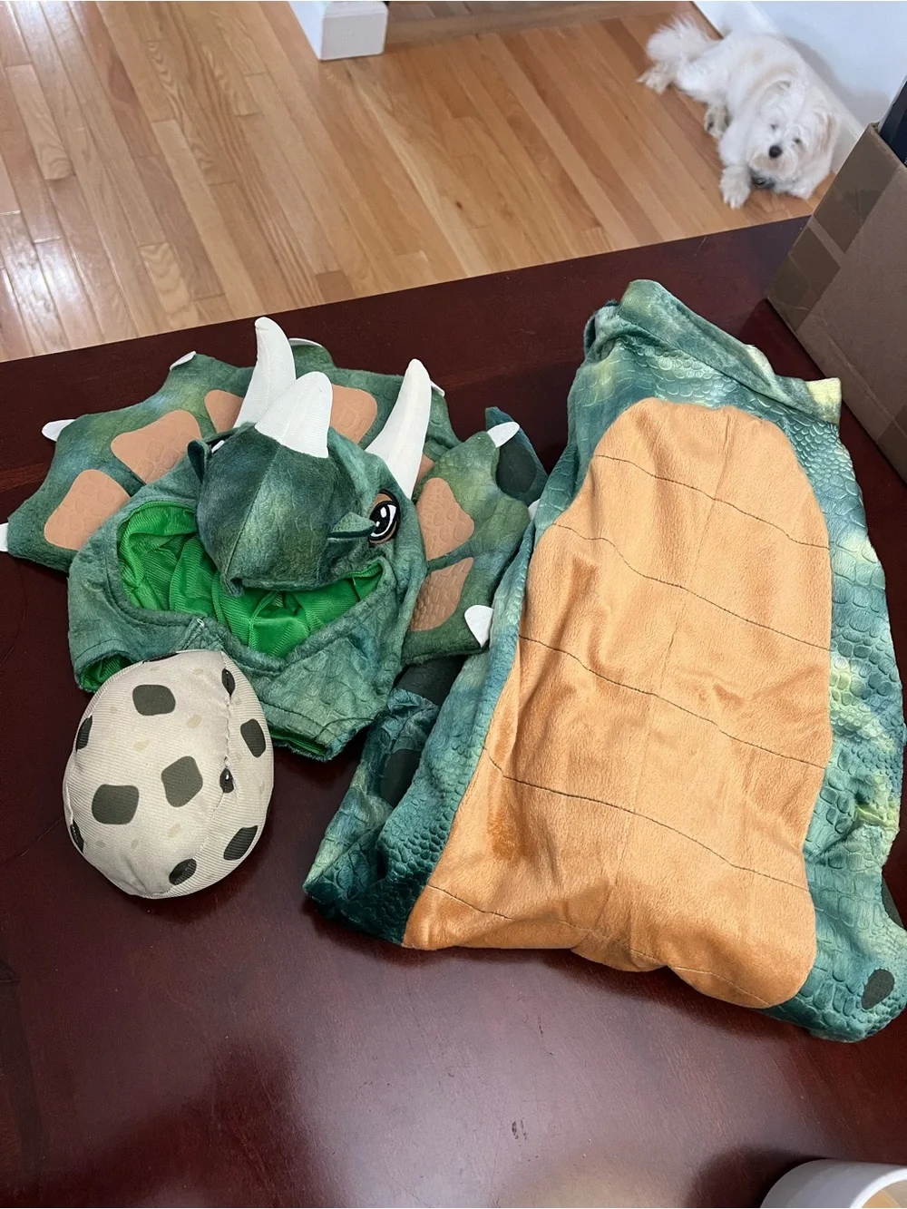 Triceratops Kids Costume - Green & Orange Jumpsuit with Dino Hood (Size S 5-7)